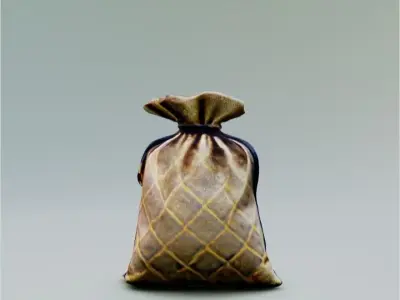Bag with money 3D model