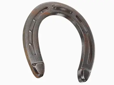 Horseshoe 3D model