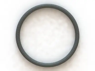 O Ring Vedabras 12877 3D model