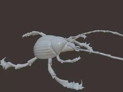 White little beetle 3D model