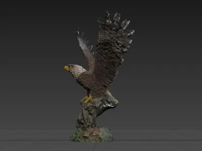 Eagle Scanned Free 3D model