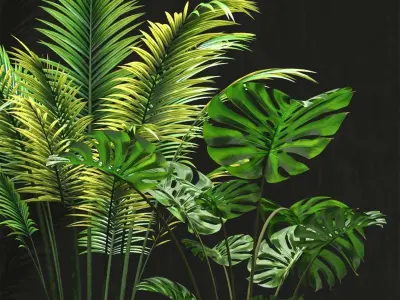 Indoor Plant Set 100 3D model