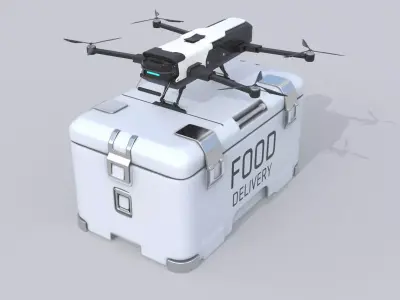 Food Delivery Drone quad copter 3D model