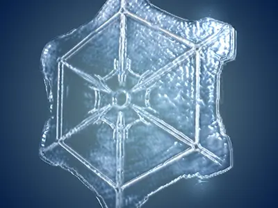 Snow flakes 3D model