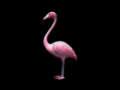 Flamingos On The Sea Beach 3d Render 3D model