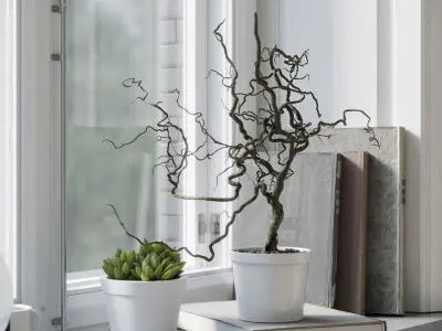  Corkscrew Hazel Branches Plant Model  purchase
