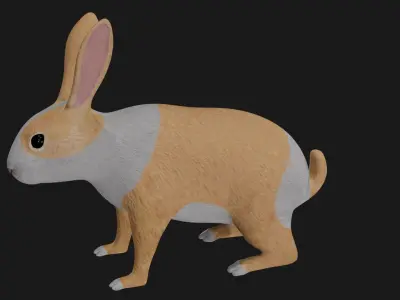 White orange bunny rabbit low poly rigged Low-poly 3D model
