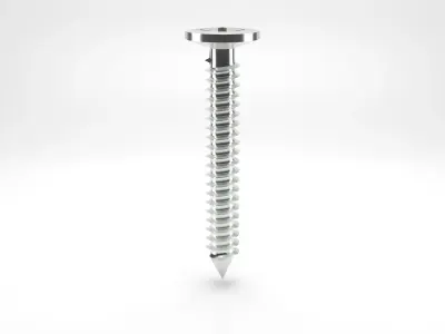 Low Poly - Screw Low-poly 3D model