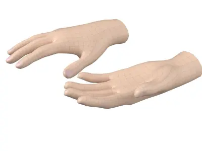 Female Hand Base Mesh 04 3D model