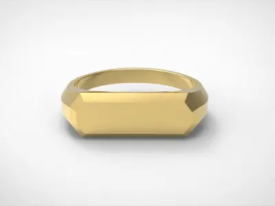 Signet ring Special 3D MODEL 3D print model
