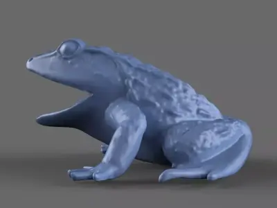 Frog Toy 3D model