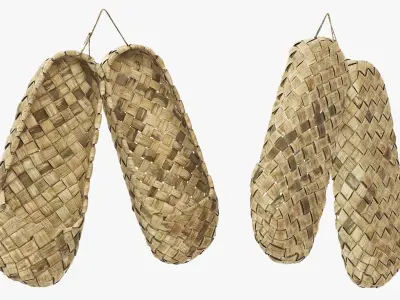 Hanging Worn Bast Shoes 