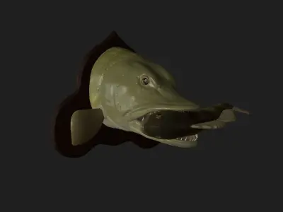 PIKE EAT PERCH DETAILED TEXTURE TROPHY TAXIDERMY FOR 3D PRINTING Free 3D print model