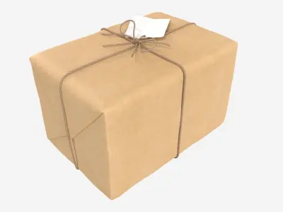 Parcel wrapped in kraft paper 3D model