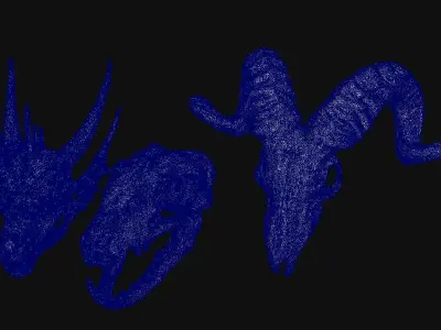Skull Animal 3D model