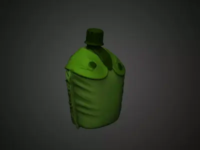 Military Canteen EEUU with Tactical Pouch 3D print model