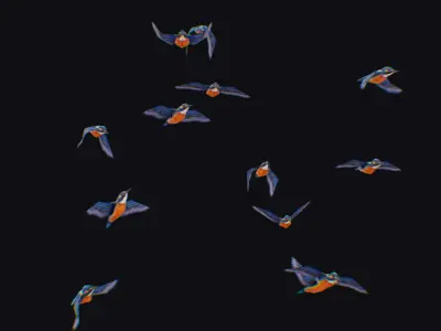 Kingfisher Flock Animated Bird Swarm Hummingbird Shoal Birds Low-poly 3D model purchase