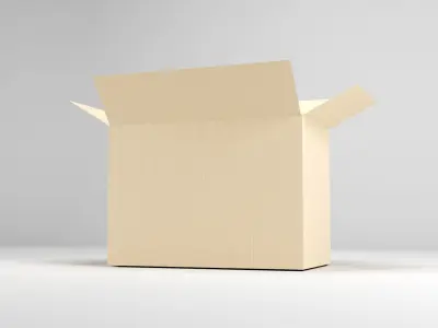 Cardboard box 3d model Low-poly 3D model