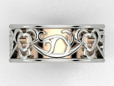 2 Part Filigree Wedding-Band  3D print model