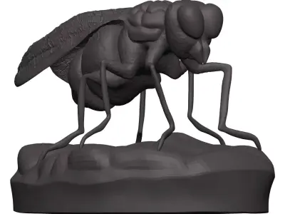 Fly-Fly fly 3D model