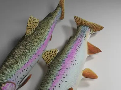 Rainbow trout  Low-poly 3D model
