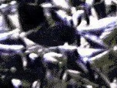 Obvilion drone 3D model