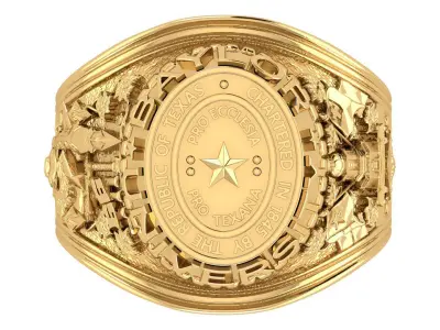 Champion Ring 3D print model