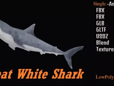 Great White Shark Low-poly 3D model 12
