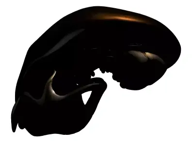 SciFi Biomechanical Alien Skull Low-poly 3D model