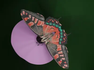 Butterfly animation Free 3D model purchase