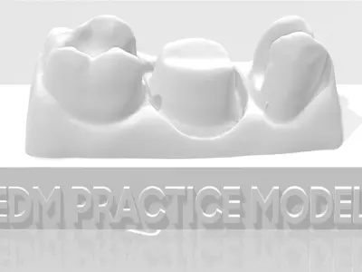 EDM Dental Practice Standard Model Class 2 and Bridge 3D print model