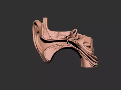 ear human anatomy organ 3D print model