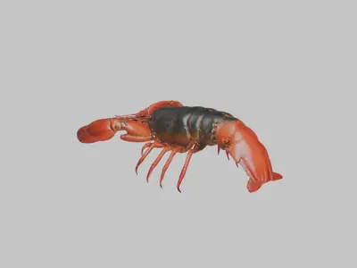 Lobster Low-poly 3D model purchase