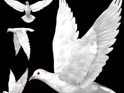 Dove white pigeon Low-poly 3D model