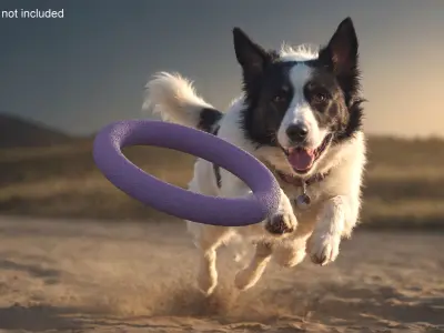 Dog Puller Standart Fitness Tool Used 3D model