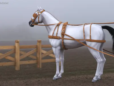 White Horse Single Driving Harness 3D model