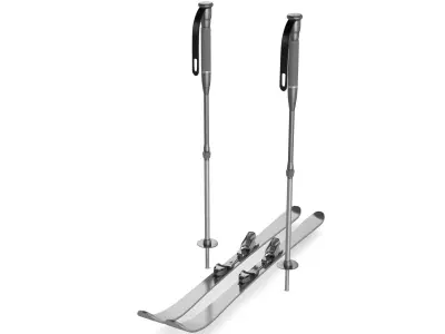 Cross Country Ski 3D model buy