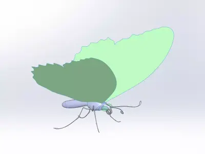 Butterfly 3D model 3