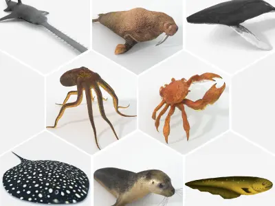 16 Marine Animals Pack - Colletion Low-poly 3D model