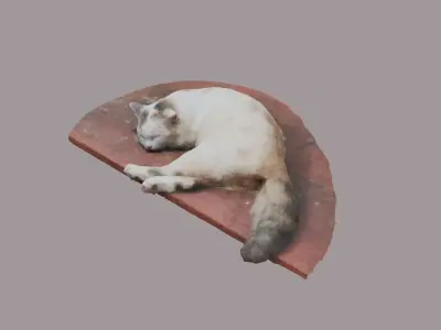 a sleeping cat 3d scanning Free low-poly 3D model