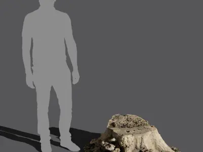 Short Cut Bare Stump Model 
