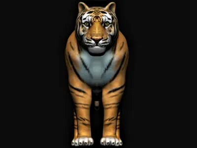 Tiger animation 3D model