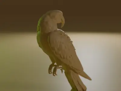 blue macaw 3D model purchase