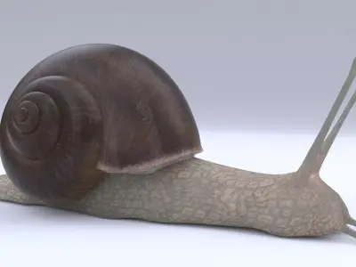 Snail Low-poly 3D model shop