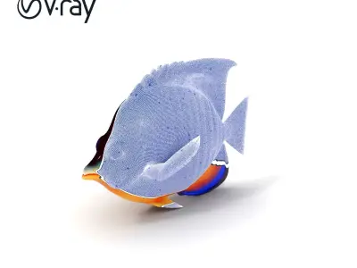 Colorful Tropical Fish Model Pack Low-poly 3D model
