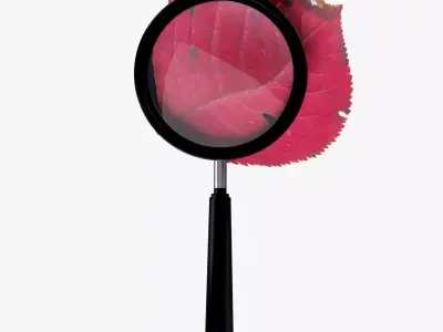 Magnifying Glass 3D model purchase