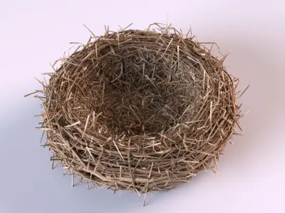 Bird Nest 3D model 2