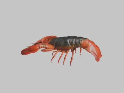 Lobster Low-poly 3D model purchase