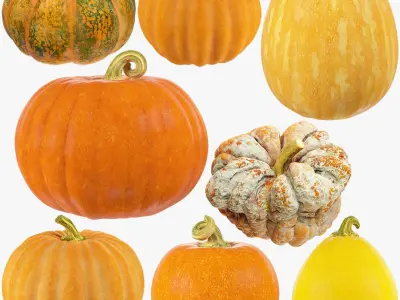 Pumpkins Collection V8 3D model