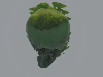 Emerald Cranium Free 3D model